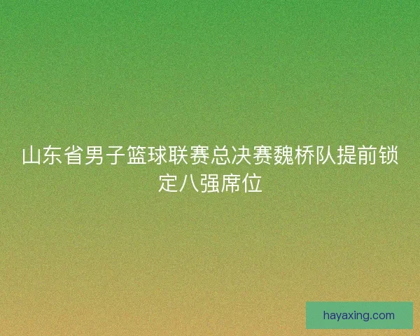 山东省男子篮球联赛总决赛魏桥队提前锁定八强席位 山东省男子篮球联赛总决赛魏桥队提前锁定八强席位